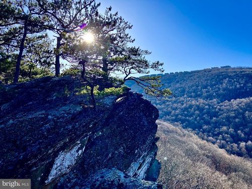 203 Timbers, Wintergrn Rst, VA, 22967-8257 | Card Image