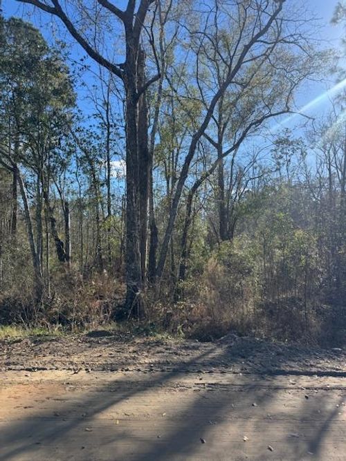 Lot 3 Caulie Harris Rd, Adel, GA, 31620-6441 | Card Image