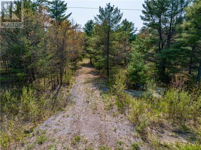 295 Lakeview Dr, Home with 0 bedrooms, 0 bathrooms and null parking in Alban ON | Image 11
