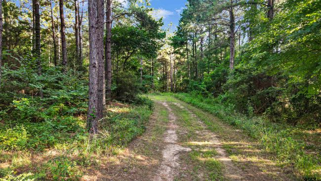 TBD 17.57 ACRES Fm 2274, Home with 1 bedrooms, 1 bathrooms and null parking in Troup TX | Image 18