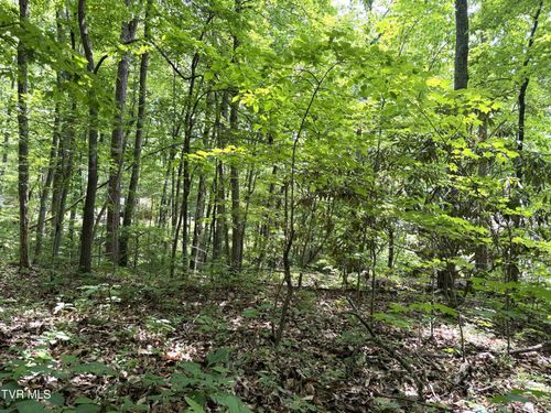 10-0 Swan Saddle, Sevierville, TN, 37876 | Card Image