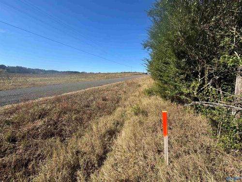 17 acres County Road 66, Section, AL, 35771 | Card Image