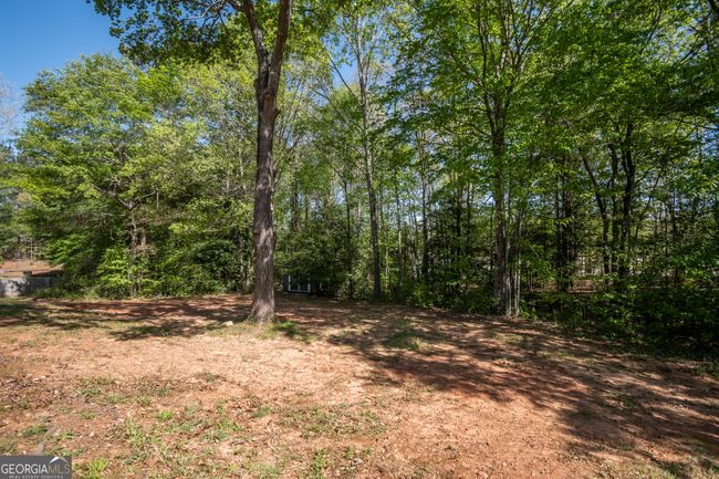 344 River Landing Dr, House other with 4 bedrooms, 2 bathrooms and null parking in Monroe GA | Image 37
