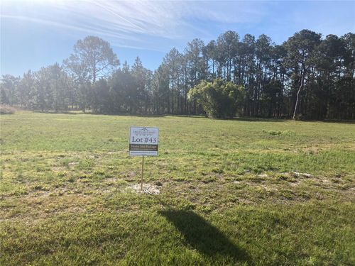 38518 Wooded Meadow Dr, UMATILLA, FL, 32784-9438 | Card Image