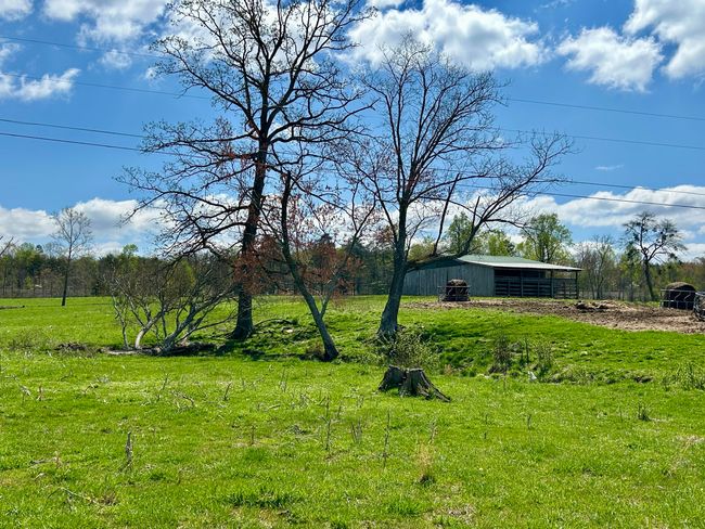 428 Dick Wilson Rd, Home with 0 bedrooms, 0 bathrooms and null parking in Strunk KY | Image 9