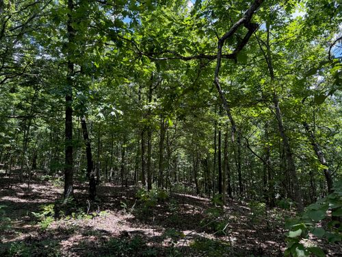 36245 Us 160, Doniphan, MO, 63935-1383 | Card Image