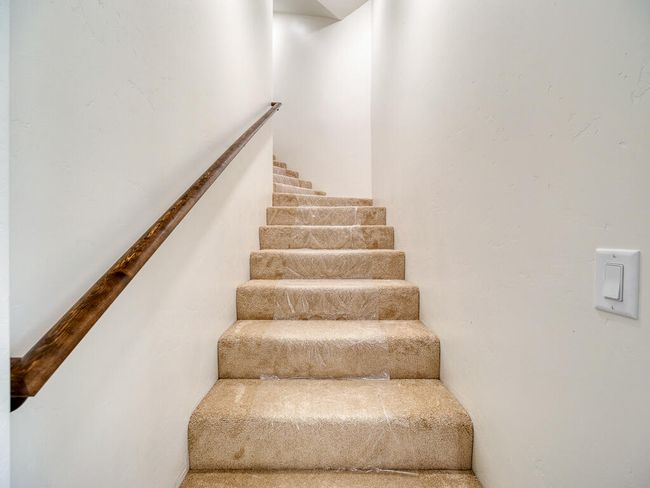 1168 Paper Birch-19 | Image 19