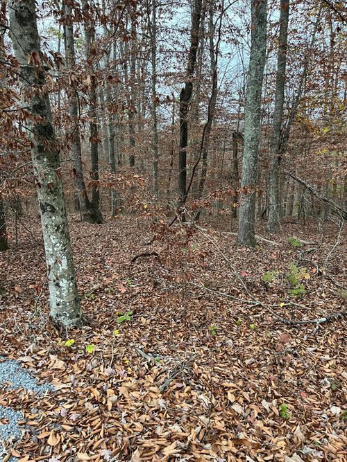 26 Peach Tree Ln, Russell Springs, KY, 42642-7830 | Card Image