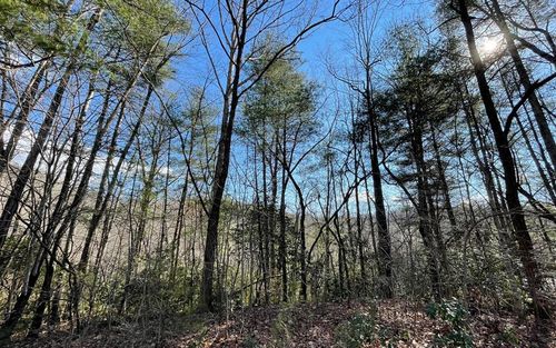 Lot 42 Granite Dr, Hayesville, NC, 28904 | Card Image