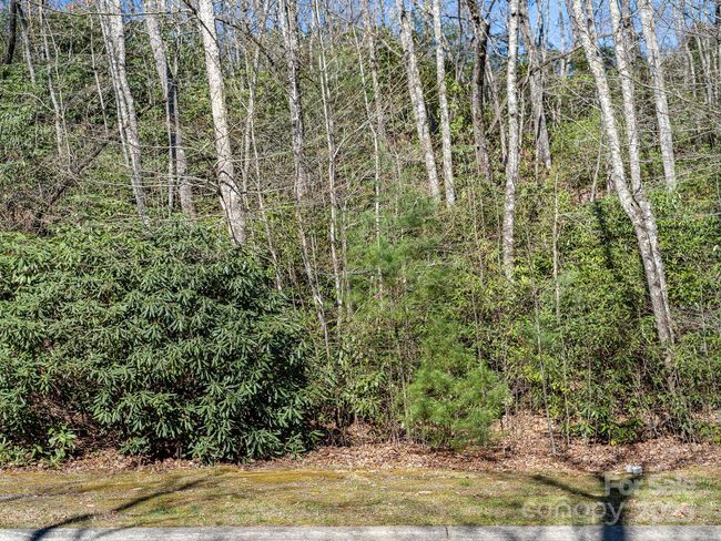 25 Settings Blvd, Home with 0 bedrooms, 0 bathrooms and null parking in Black Mountain NC | Image 9