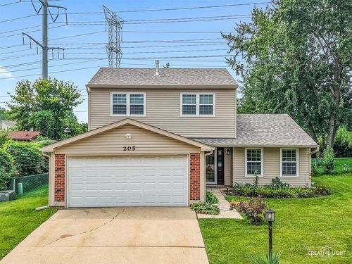 205 Yellow Pine Dr, Bolingbrook, IL, 60440-1748 | Card Image