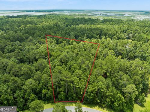 V/L 185 Sunrise Drive, Woodbine, GA, 31569 | Card Image
