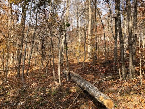Lot 51 Harbor Ln, La Follette, TN, 37766 | Card Image