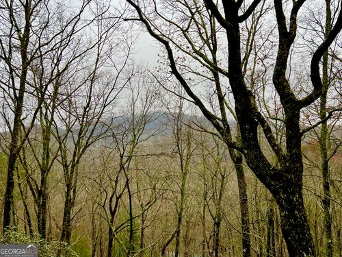 18 Martin Xing, Cherry Log, GA, 30522 | Card Image