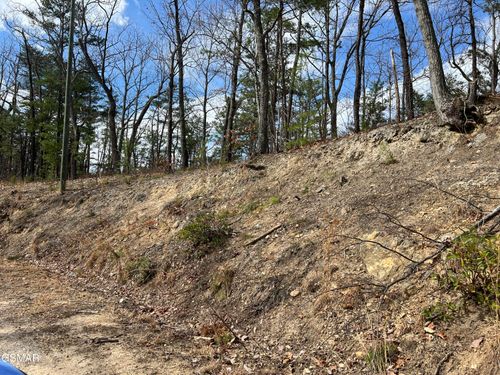 Lot 10-11 Chestnut Ridge Court, Sevierville, TN, 37876 | Card Image