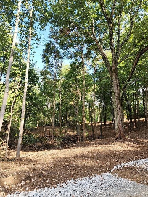 1 Port Williams Road, Williams, IN, 47470 | Card Image