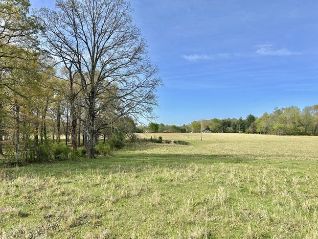 1110 Pomroy Rd, House other with 3 bedrooms, 2 bathrooms and 2 parking in Manchester TN | Image 46