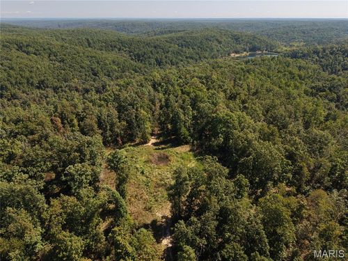 000 Coldwater Creek_Lot 15, Womack, MO, 63645 | Card Image