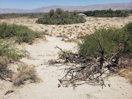 0 Corvado & 20th Avenue Drive, Desert Hot Springs, CA, 92241 | Card Image
