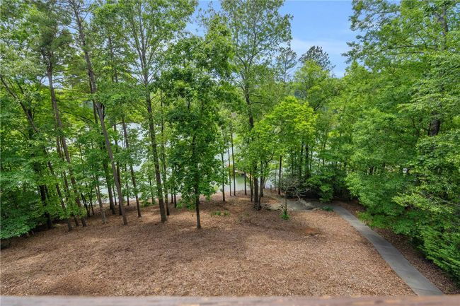 View from the Deck | Image 47