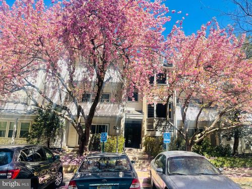 101-7715 Lafayette Forest Dr, ANNANDALE, VA, 22003-6334 | Card Image