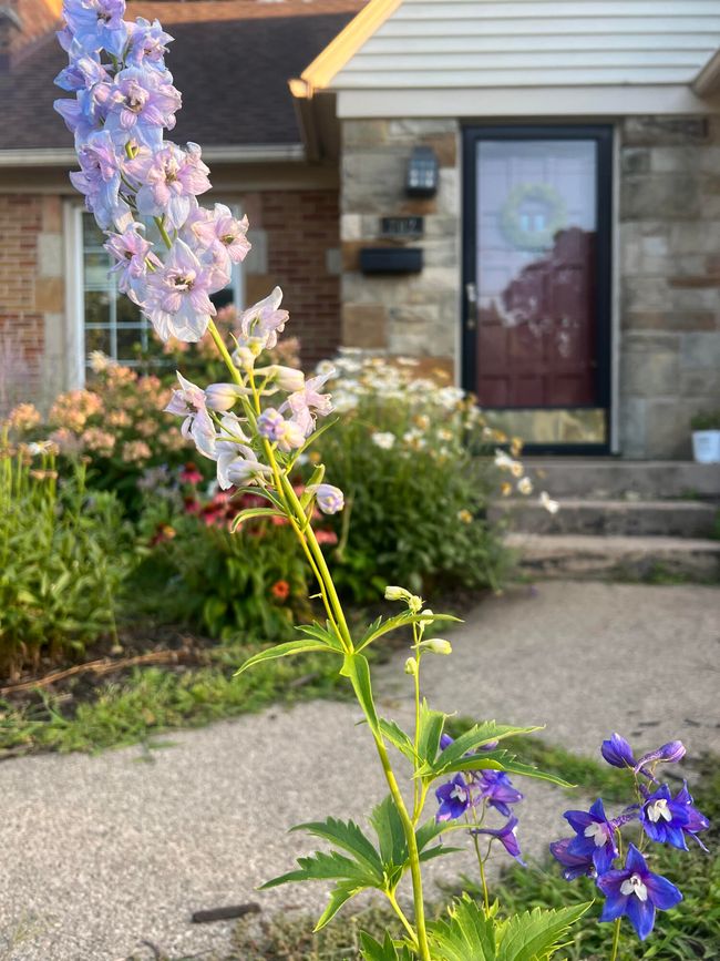 flowers | Image 37