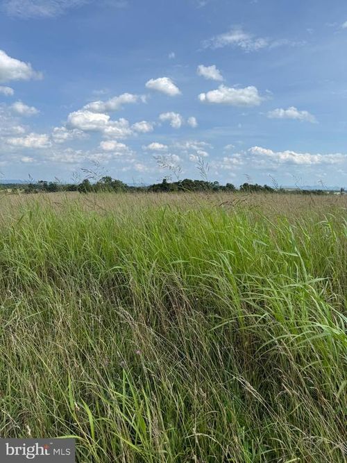 Lot 1 Glebe Dr, CLEAR BROOK, VA, 22624 | Card Image