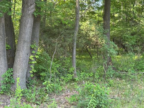 TBD Fish Road/7 Mile, Belding, MI, 48809 | Card Image