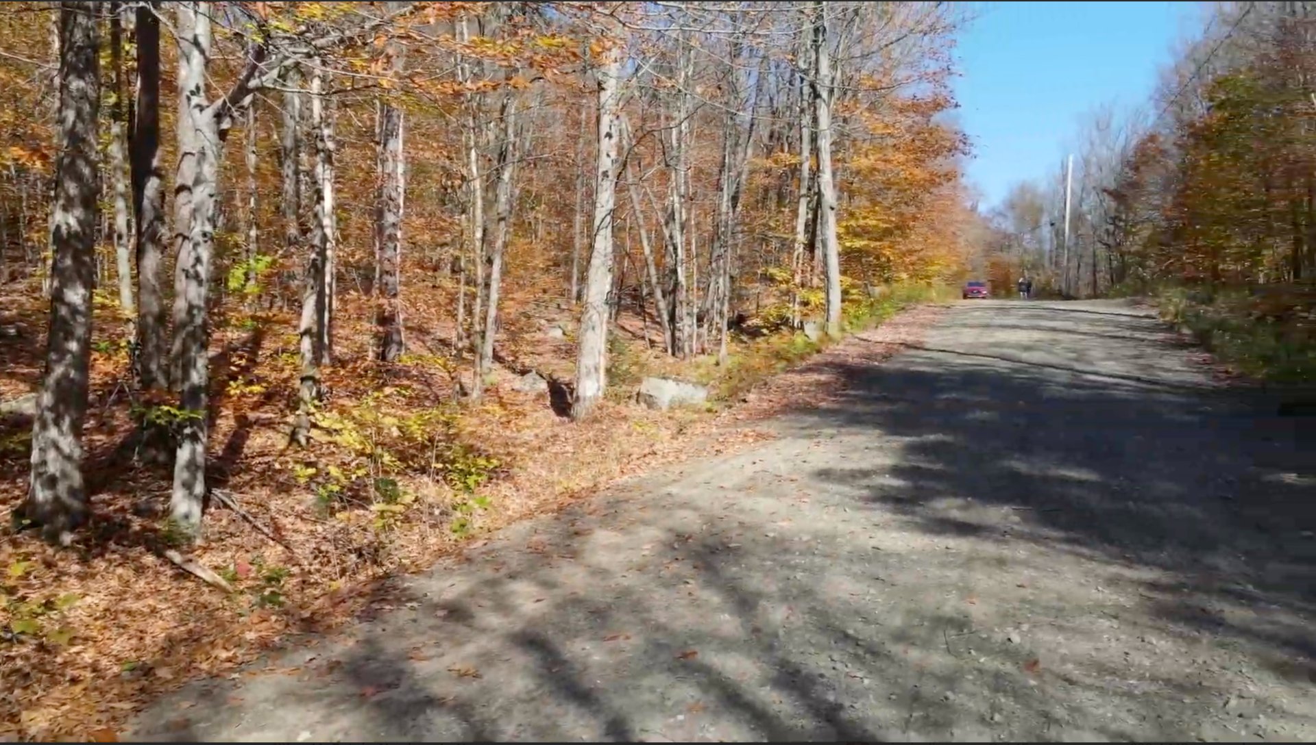 Land in Wentworth