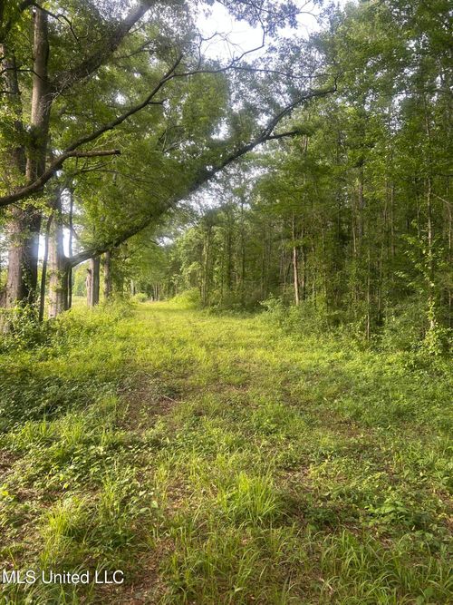 00 Old Highway 80 E, Morton, MS, 39117 | Card Image