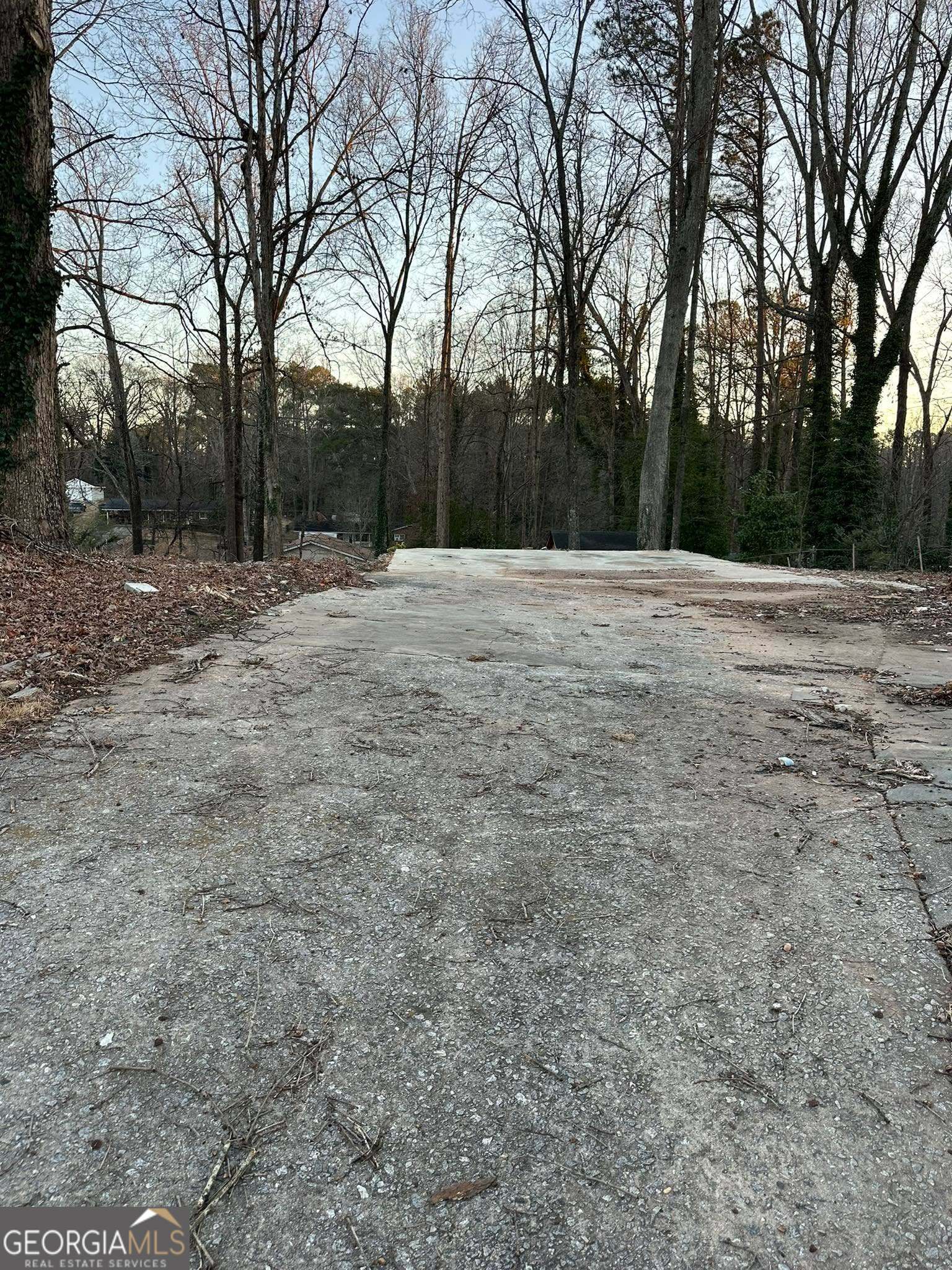 Land in Atlanta 4