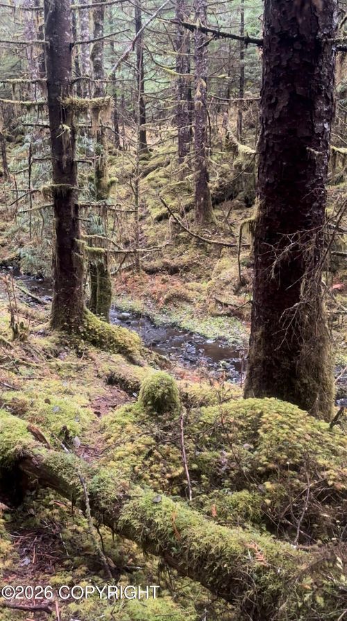 L7 B2 Coffman Loop, Coffman Cove, AK, 99918 | Card Image