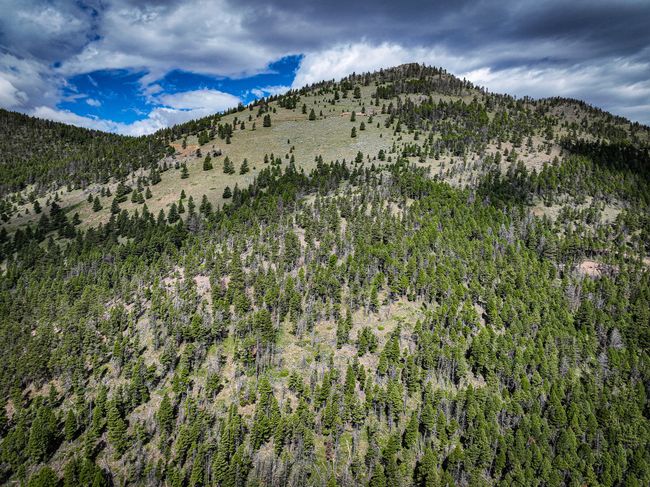 4540 Denton Gulch Rd, House other with 2 bedrooms, 1 bathrooms and null parking in Wolf Creek MT | Image 18