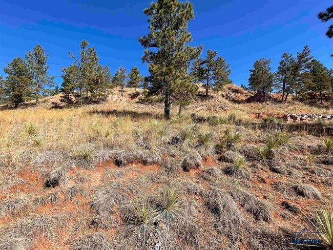 421 Meadowlark Dr, Home with 0 bedrooms, 0 bathrooms and null parking in Hot Springs SD | Image 9