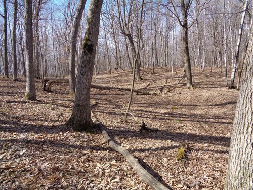 2115 210th St, Centuria, WI, 54824-7609 | Card Image