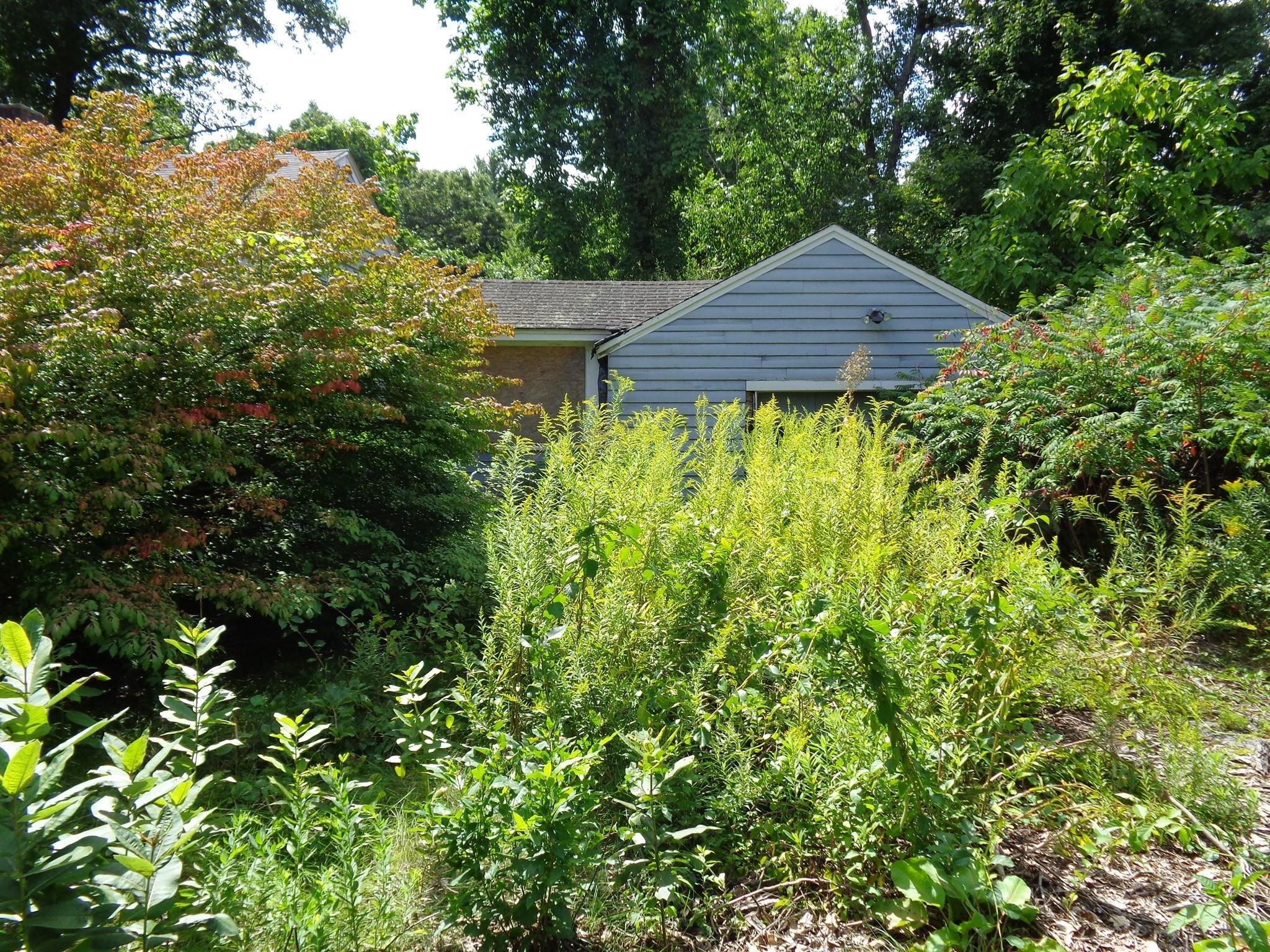 Concord Rd, Westford, MA 01886