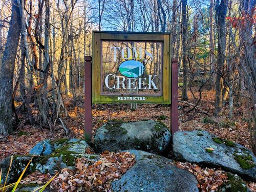 000 Toms Creek Dr, Roan Mountain, TN, 37687 | Card Image