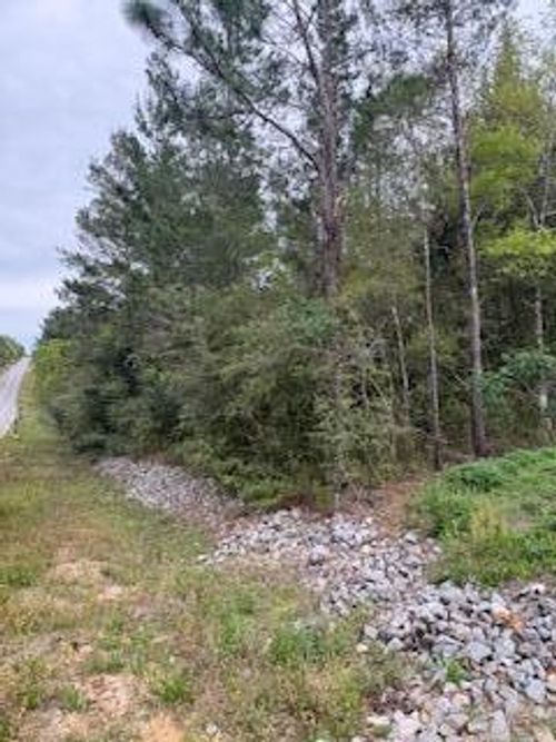 Lot 4 W Violet Ln, Defuniak Springs, FL, 32433-6539 | Card Image