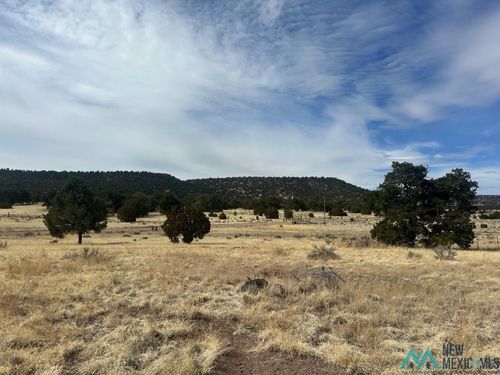 19 Cedar, Quemado, NM, 87829 | Card Image