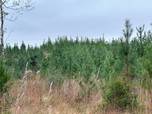Parcel D1 Millside Rd, Laurel Hill, FL, 32567 | Card Image