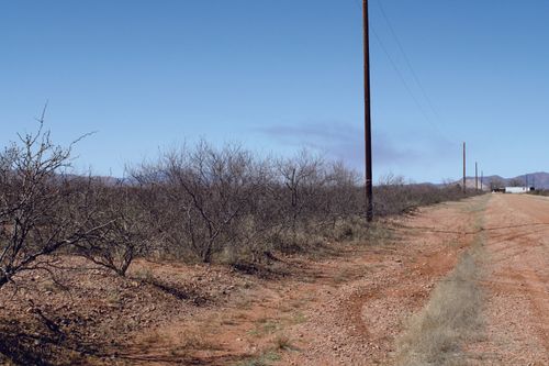 1070-.22 Acre N Mesa Court, Douglas, AZ, 85607 | Card Image