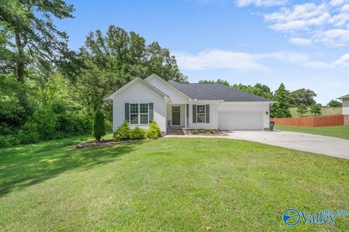 713 Rabbittown Rd, Glencoe, AL, 35905-7281 | Card Image