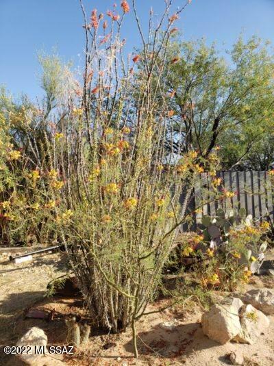 Land in Tucson 3