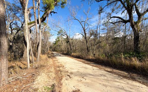 0 Nw Kings Rd, Mayo, FL, 32066 | Card Image