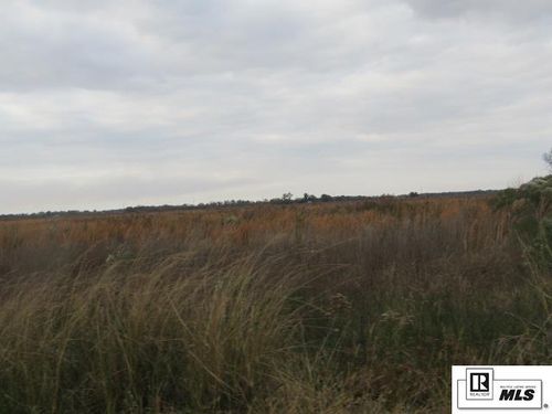 289 Caston Rd, Rayville, LA, 71269-7133 | Card Image