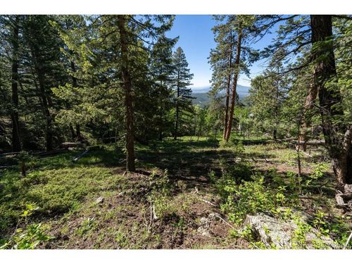 11698 Nichols Way, Conifer, CO, 80433-7521 | Card Image