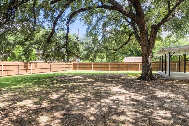 Back yard | Image 28