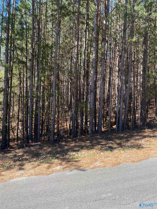 Lot 4 Blk 2 Alyson Ave Nw, Fort Payne, AL, 35968 | Card Image