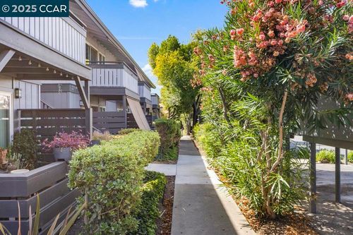 apt-3-213 Masters Ct, Walnut Creek, CA, 94598-1919 | Card Image