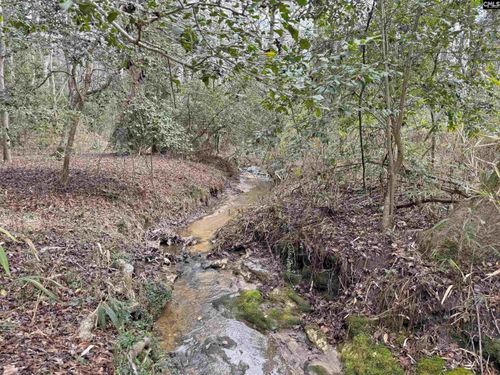 0 Tall Timber Dr, Leesville, SC, 29070 | Card Image